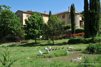Une Campagne en Provence - Gästezimmer