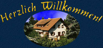 Pension Anzengruber***